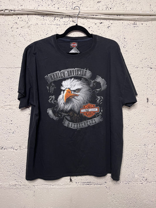 Harley Davidson- O’Fallon, IL
