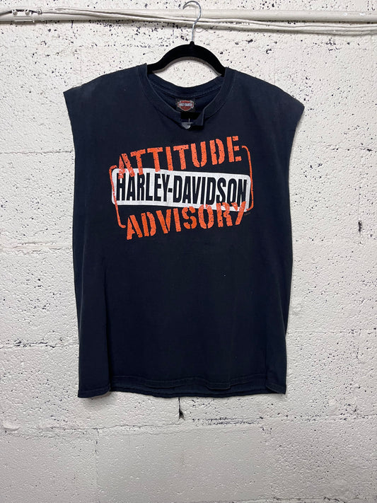Harley Davidson- Kingman, AZ