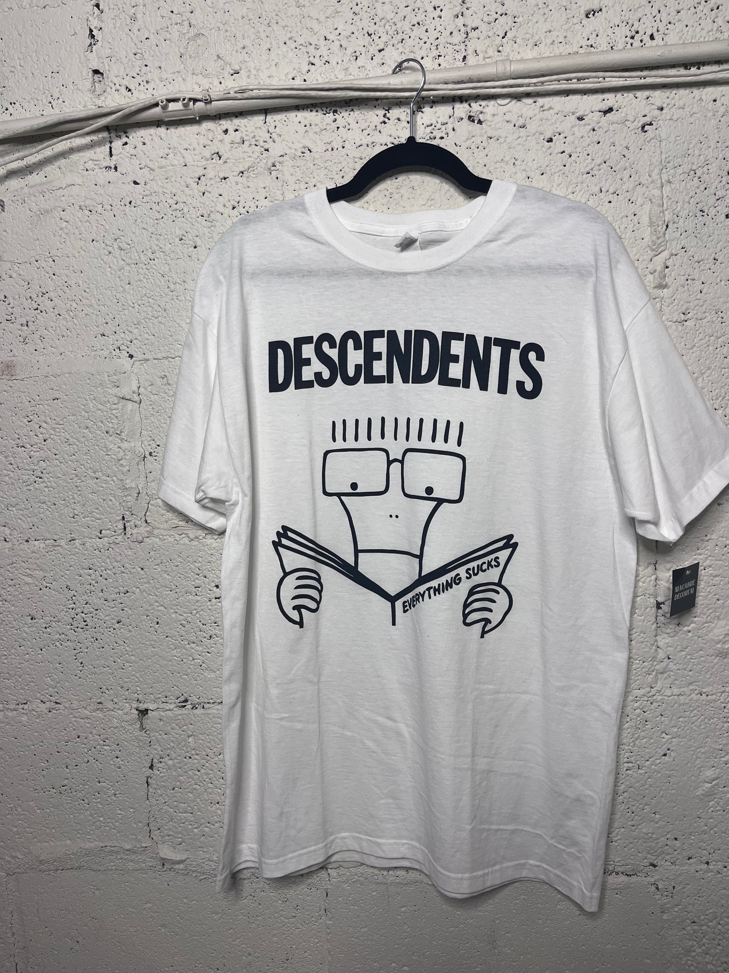 Descendents - Everything Sucks