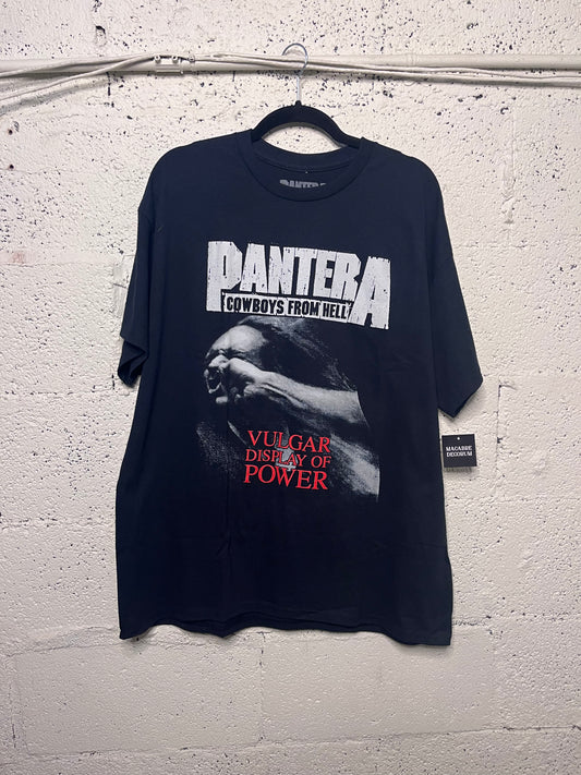 Pantera - Stronger