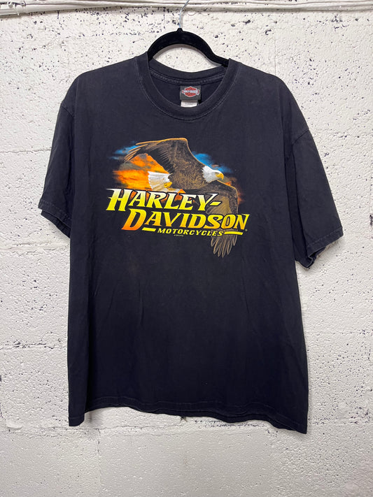 Harley Davidson- Eveleth, MN.